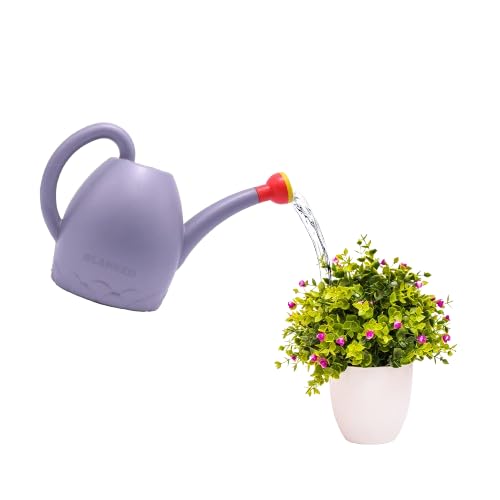 Bemora Plastic Watering Can | 2.5L Capacity | 9x12 Inch Size | Garden Water Can for Plants