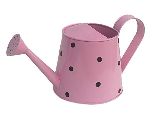 Irisco Dotted 2L Metal Round Planter with Watering Can for Balcony & Garden