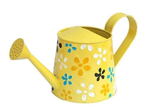Sapphire Haven 2.5L Metal Planters Round Watering Can – Rust-Free, Home Decor & Gardening Gift