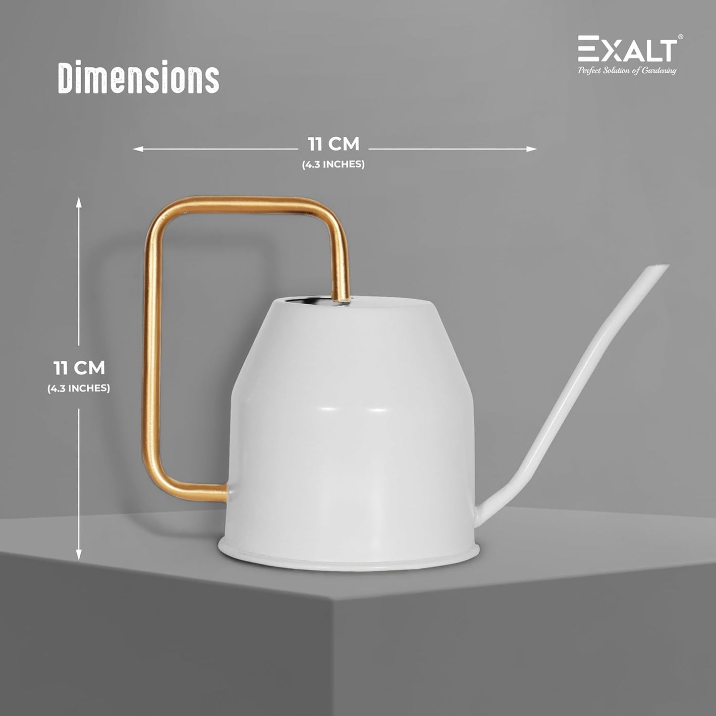 EdenFlow™ 1L Plant Watering Can for Indoor Gardens – Durable GI Metal Water Can