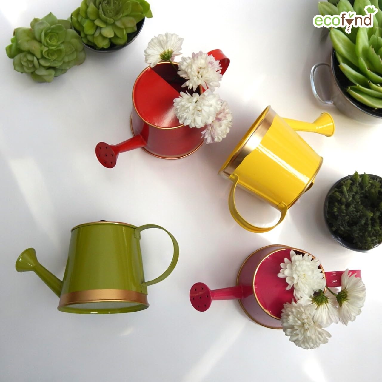EverBloom 250ml Mini Garden Watering Can for Kids and Plants – Fun and Easy Watering Tool