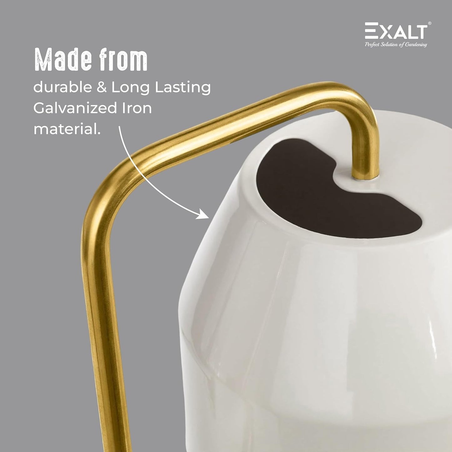 EdenFlow™ 1L Plant Watering Can for Indoor Gardens – Durable GI Metal Water Can