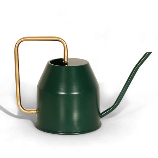 EdenFlow™ 1L Plant Watering Can for Indoor Gardens – Durable GI Metal Water Can