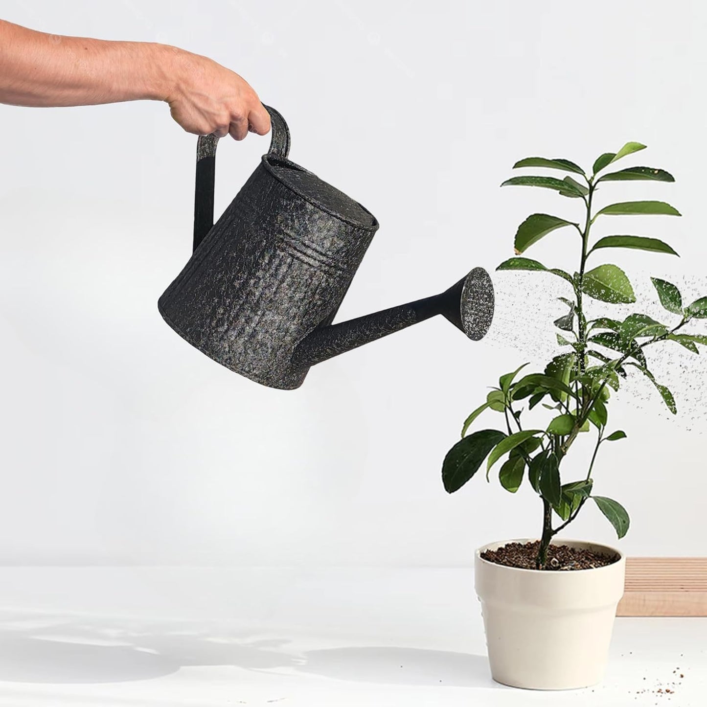 DORVIA Black Iron Watering Can for Planters – Durable Indoor Outdoor Metal Plant Watering Container
