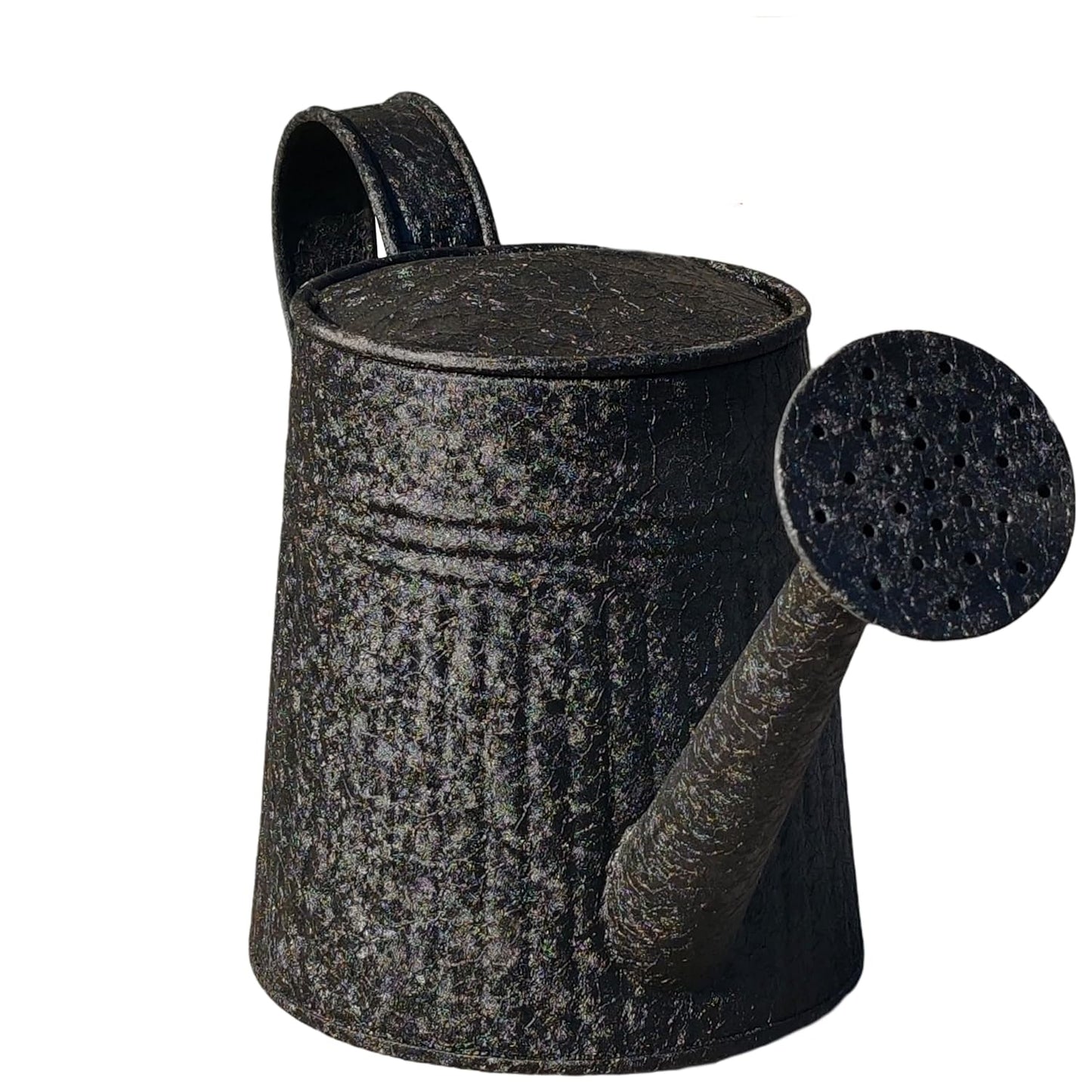 DORVIA Black Iron Watering Can for Planters – Durable Indoor Outdoor Metal Plant Watering Container