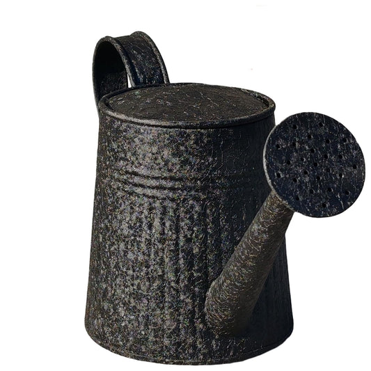 DORVIA Black Iron Watering Can for Planters – Durable Indoor Outdoor Metal Plant Watering Container