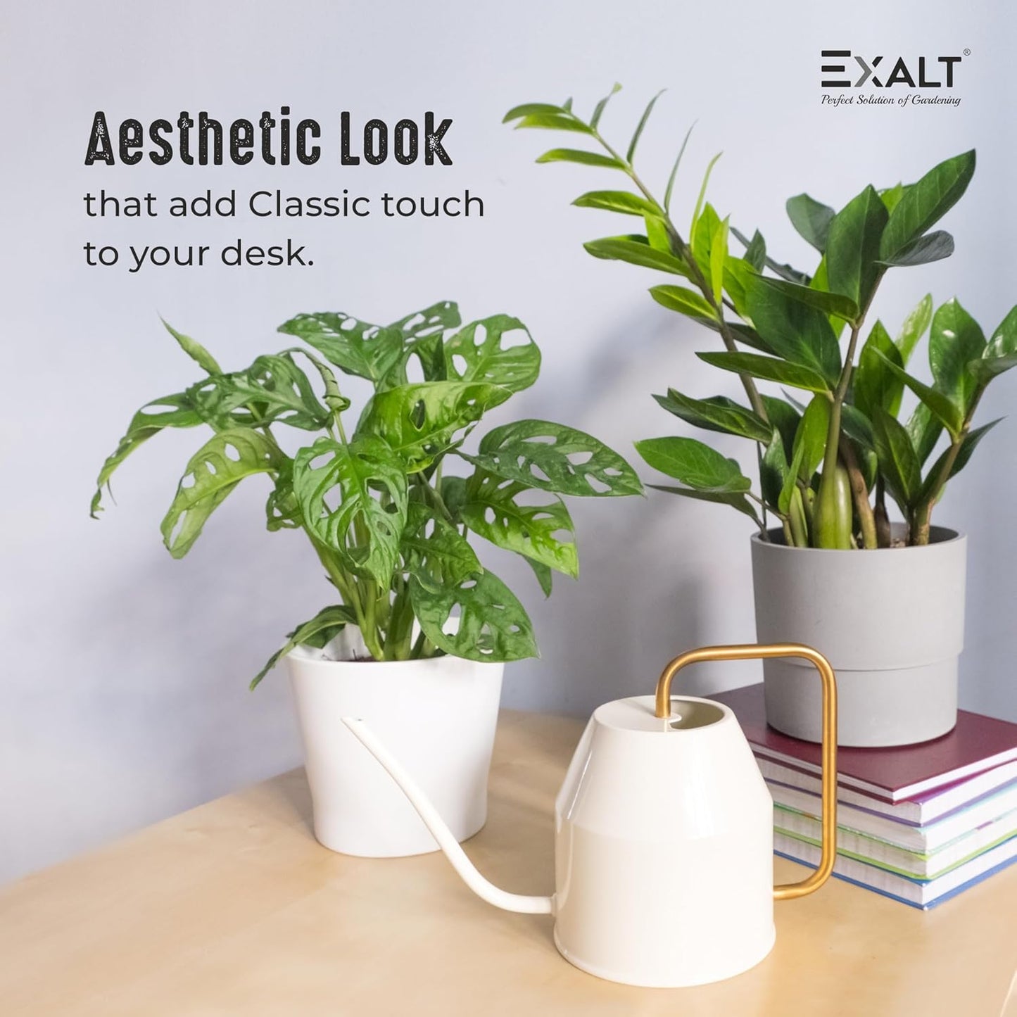 EdenFlow™ 1L Plant Watering Can for Indoor Gardens – Durable GI Metal Water Can