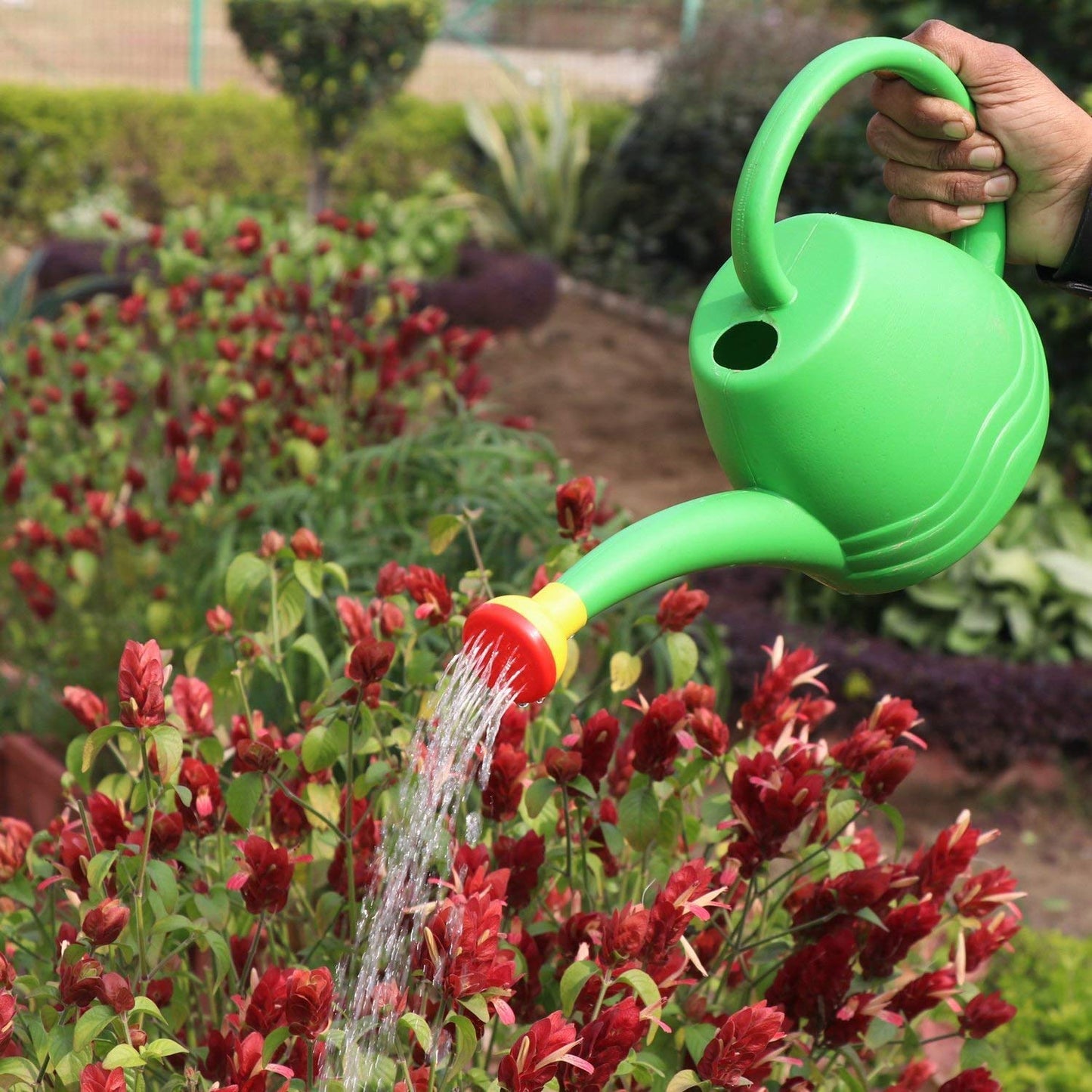 GreenHaven Plastic Plant Watering Can | 1.8 Litre Indoor & Outdoor Plant Watering Tool