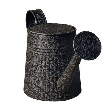 DORVIA Black Iron Watering Can for Planters – Durable Indoor Outdoor Metal Plant Watering Container