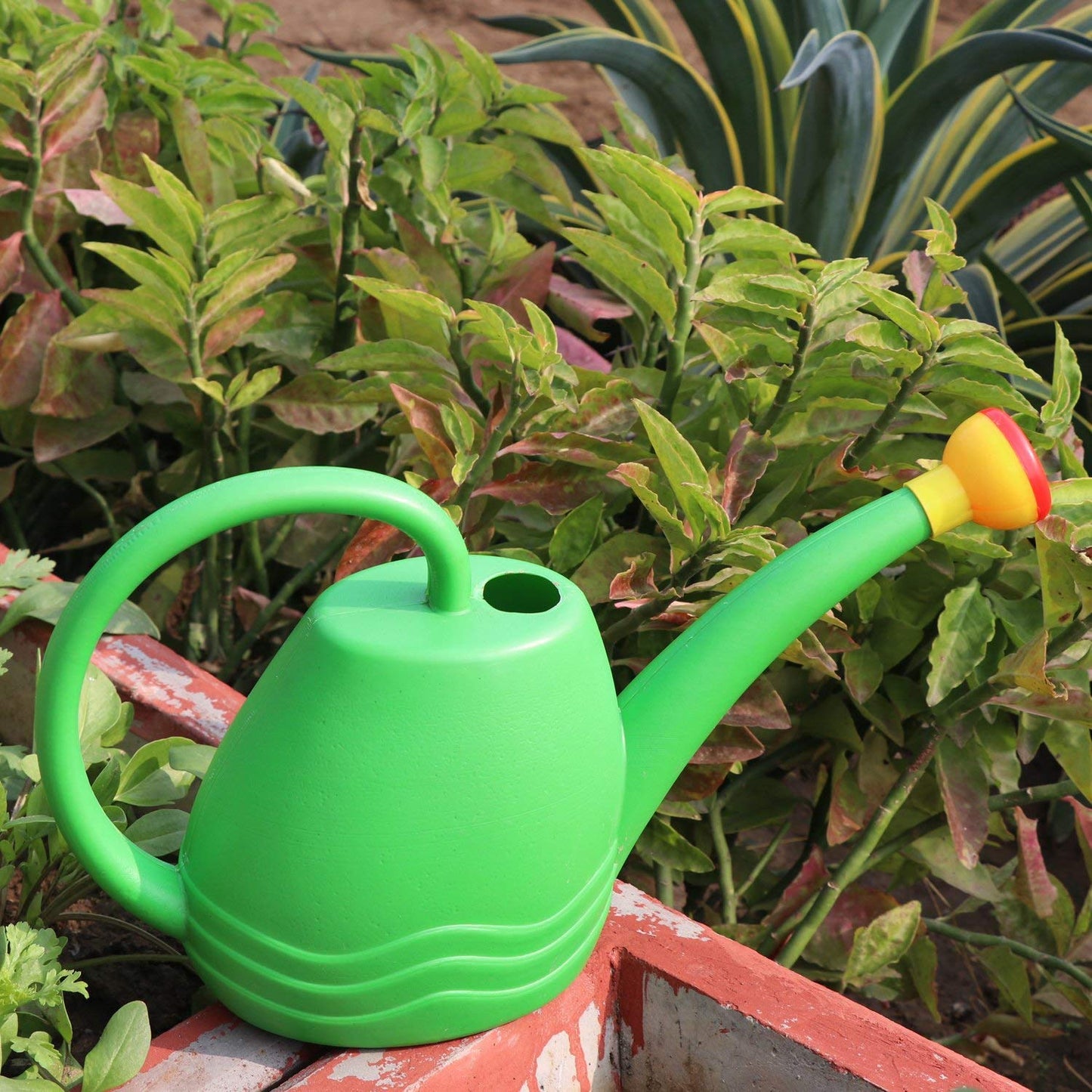GreenHaven Plastic Plant Watering Can | 1.8 Litre Indoor & Outdoor Plant Watering Tool